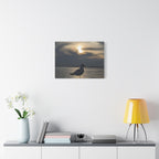 Wandbild Druck, Art.-Nr. T 00102 W