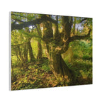 Wandbild Druck, Art.-Nr. NA 00105 W