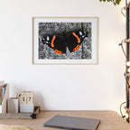 Poster mit Holzrahmen, Art.-Nr. T 00104 P