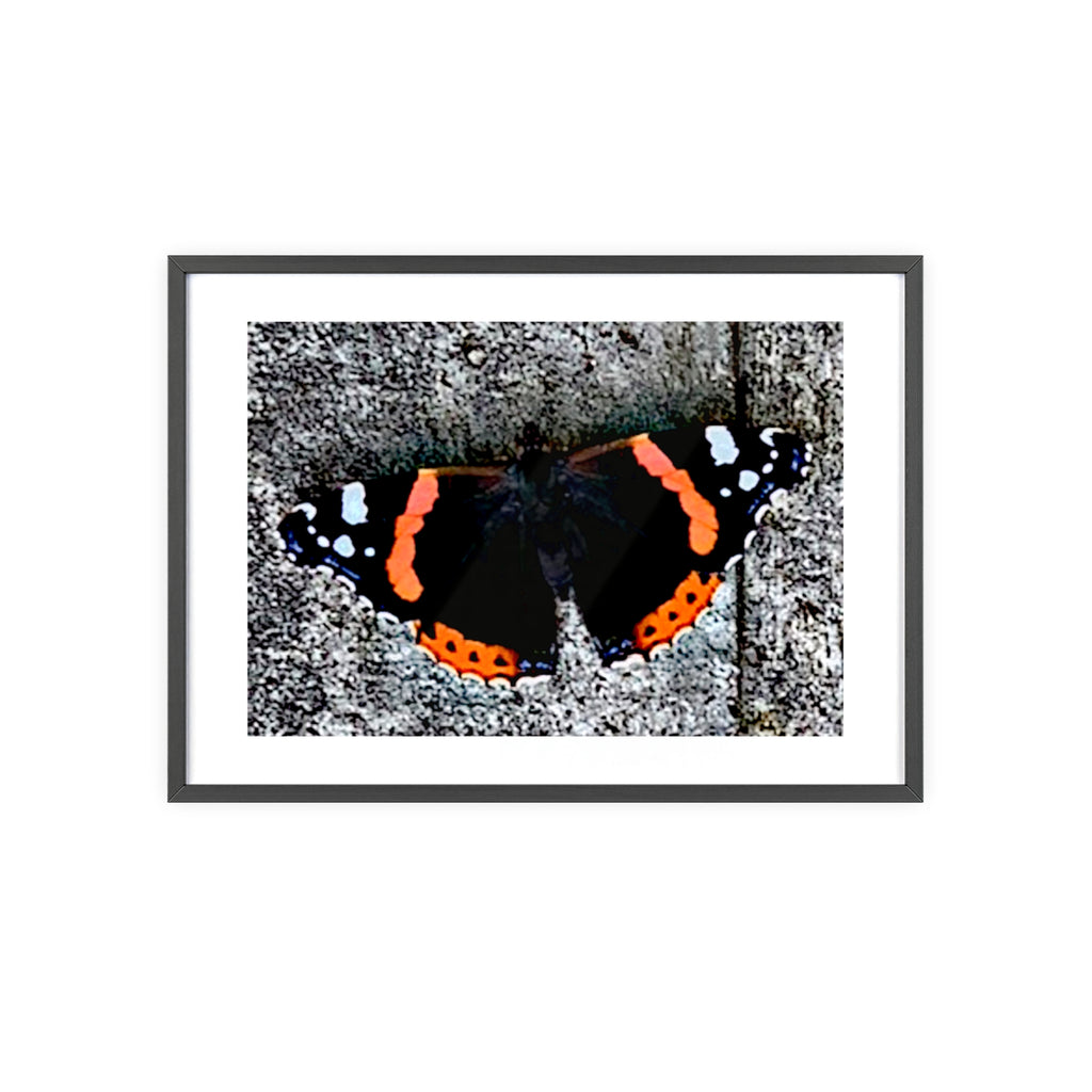 Poster mit Holzrahmen, Art.-Nr. T 00104 P
