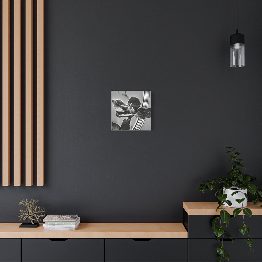 Wandbild Druck, Art.-Nr. AP 00113 W