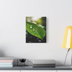 Wandbild Druck, Art.-Nr. NA 00115 W