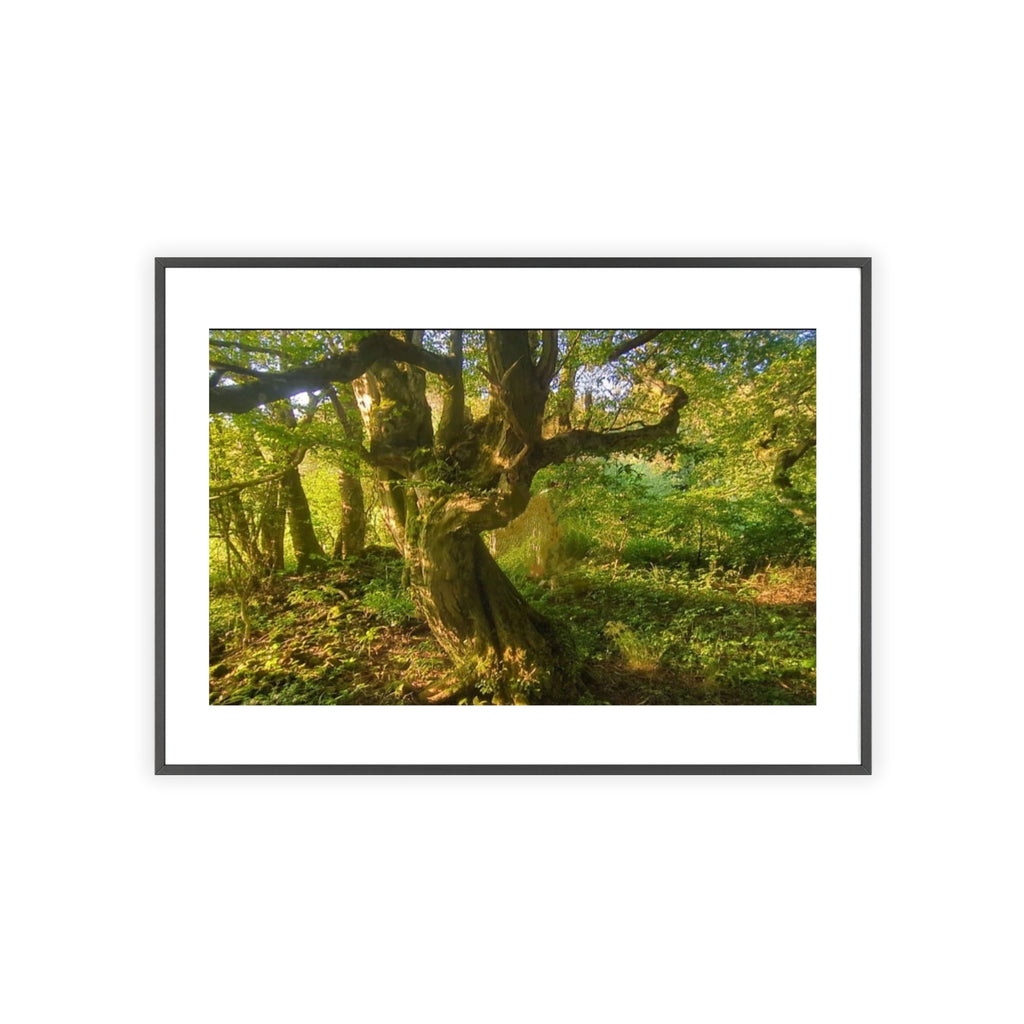 Poster mit Holzrahmen, Art.-Nr. NA 00105 P