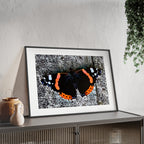 Poster mit Holzrahmen, Art.-Nr. T 00104 P