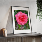 Poster mit Holzrahmen, Art.-Nr. NA 00145 P