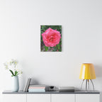 Wandbild Druck, Art.-Nr. NA 00145 W
