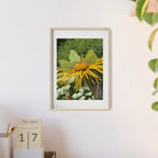 Poster mit Holzrahmen, Art.-Nr. NA 00137 P