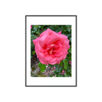 Poster mit Holzrahmen, Art.-Nr. NA 00145 P