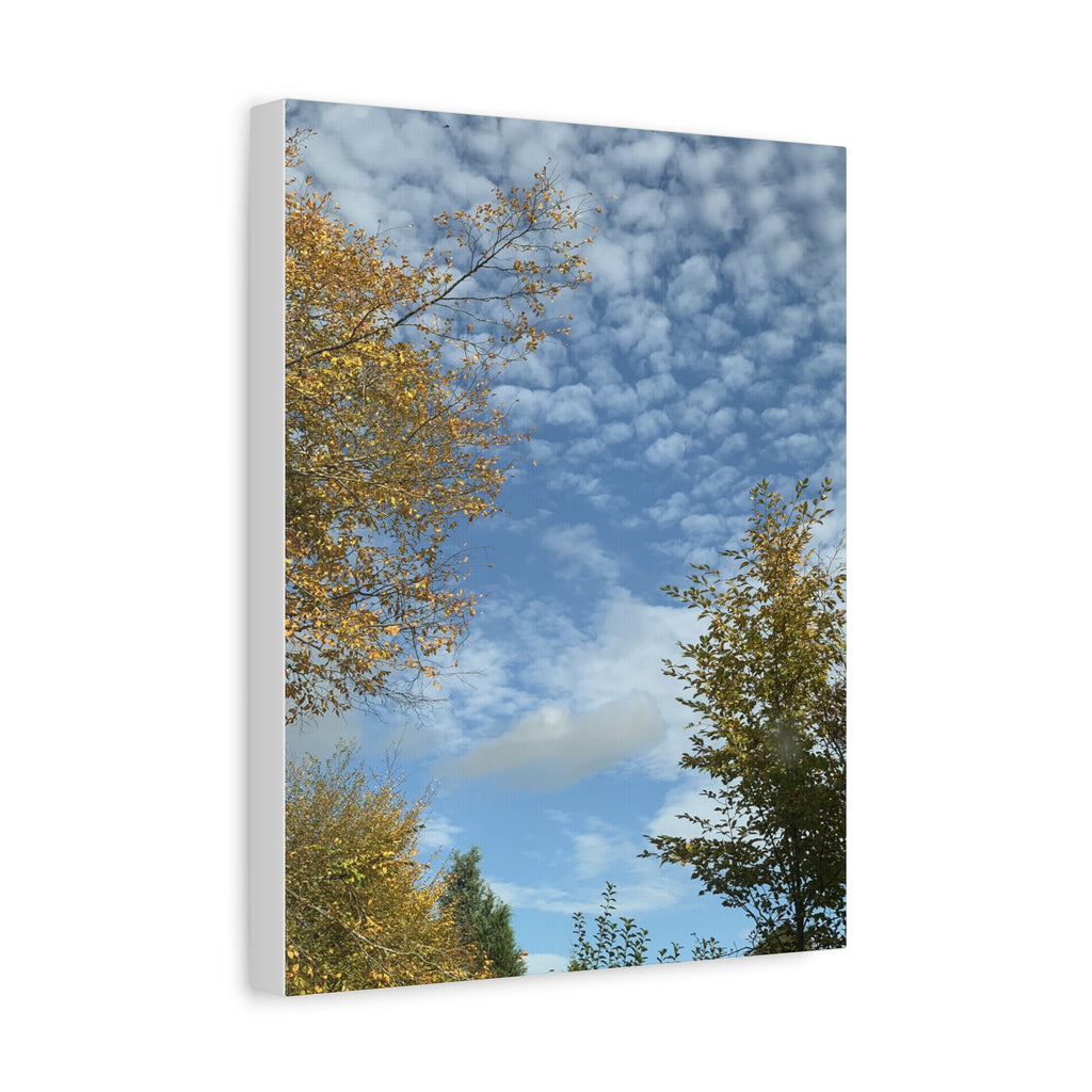 Wandbild Druck, Art.-Nr. NA 00119 W