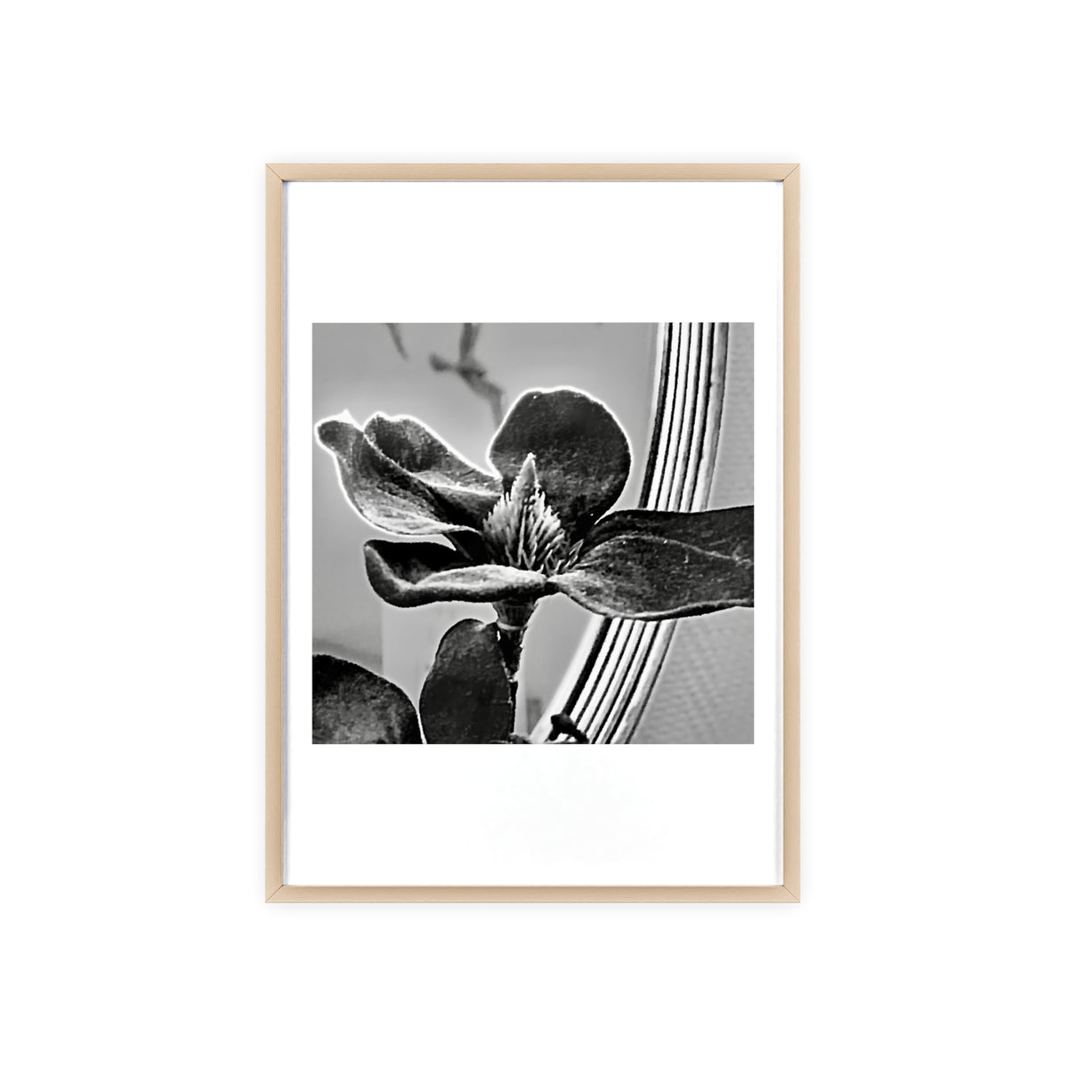 Poster mit Holzrahmen, Art.-Nr. AP 00113 P