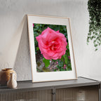 Poster mit Holzrahmen, Art.-Nr. NA 00145 P