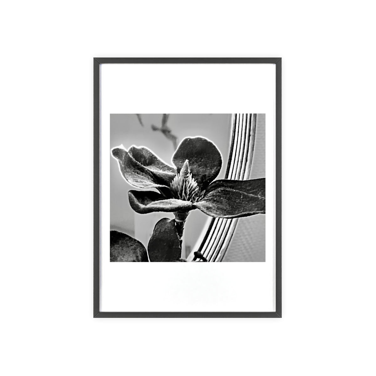 Poster mit Holzrahmen, Art.-Nr. AP 00113 P