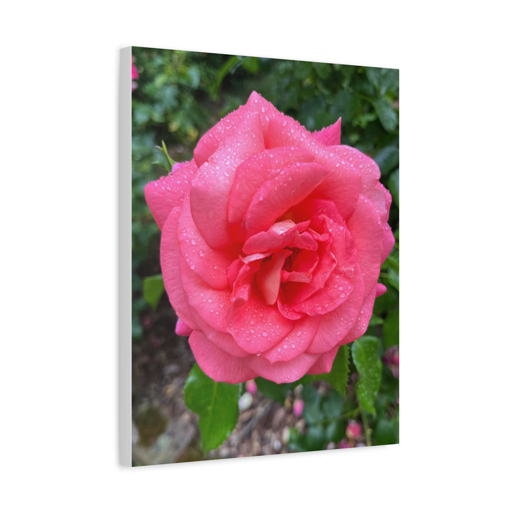 Wandbild Druck, Art.-Nr. NA 00145 W