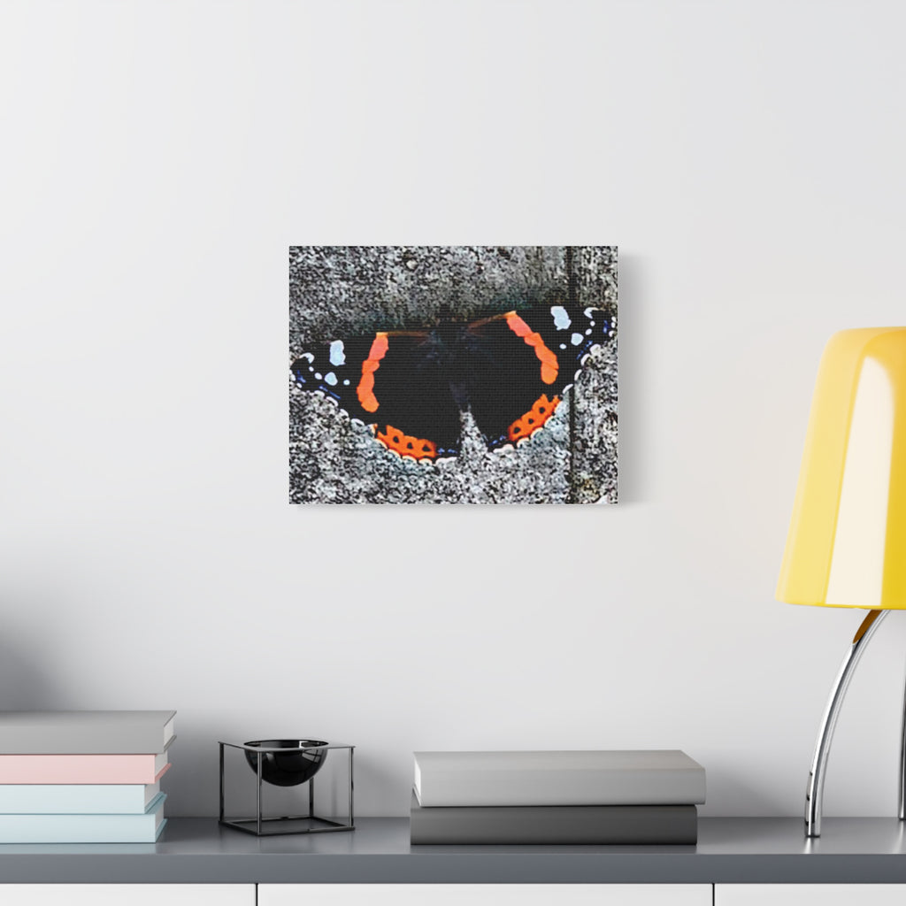 Wandbild Druck, Art.-Nr. T 00104 W