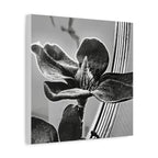 Wandbild Druck, Art.-Nr. AP 00113 W