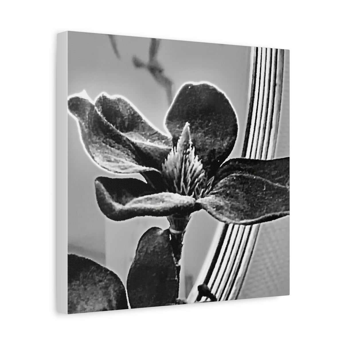 Wandbild Druck, Art.-Nr. AP 00113 W