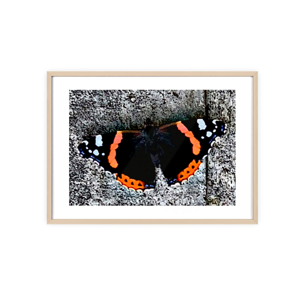Poster mit Holzrahmen, Art.-Nr. T 00104 P