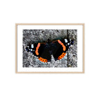 Poster mit Holzrahmen, Art.-Nr. T 00104 P