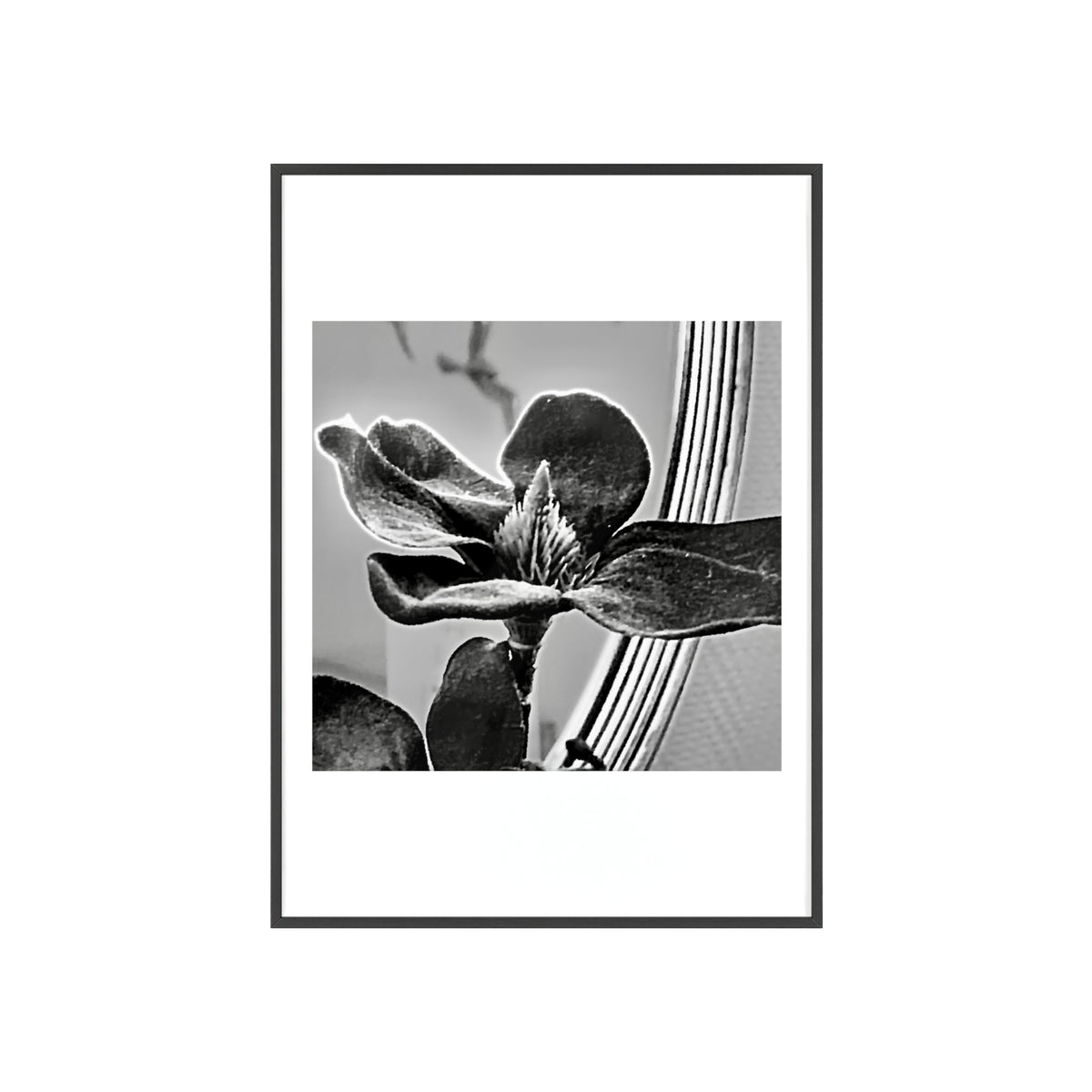 Poster mit Holzrahmen, Art.-Nr. AP 00113 P