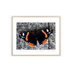 Poster mit Holzrahmen, Art.-Nr. T 00104 P
